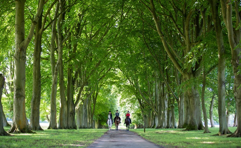 Lucknam Park horseriding